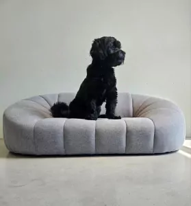 Boomer reutje - afbeelding 6