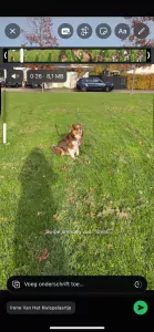 Pup Rebel - afbeelding 3