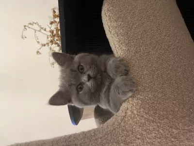 Leya zoekt nieuwe woonplek - afbeelding 6