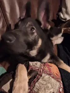 🤗 Warm thuis gekocht voor Yailinn 🩷 - afbeelding 9