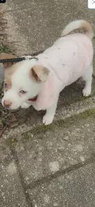 Ik ben bella - afbeelding 2