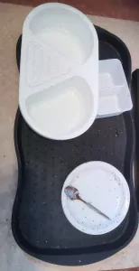 europese kortharige poes - afbeelding 3