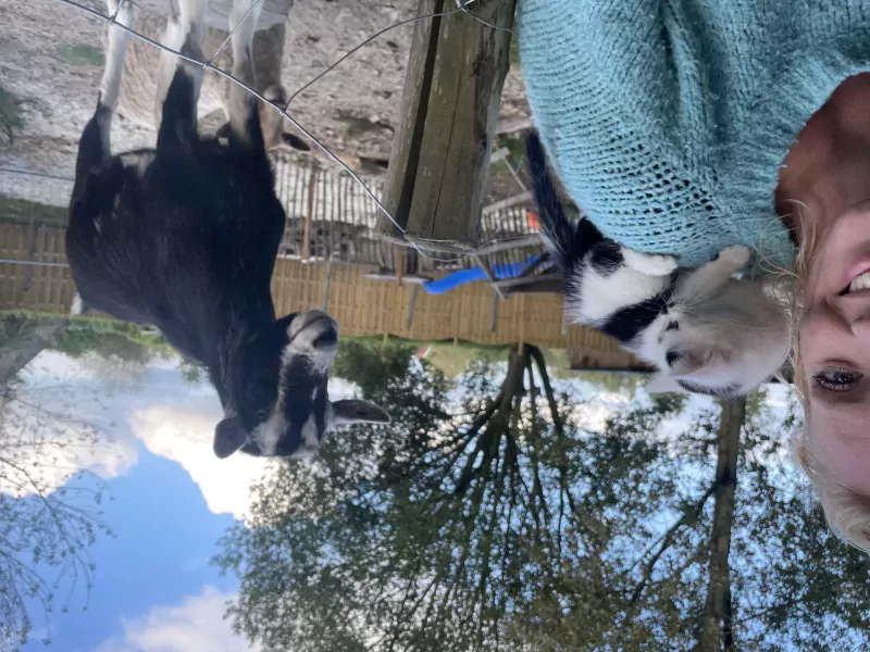 2 lieve tamme geiten van 3 jaar oud - afbeelding 3