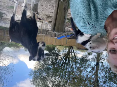 2 lieve tamme geiten van 3 jaar oud - afbeelding 3